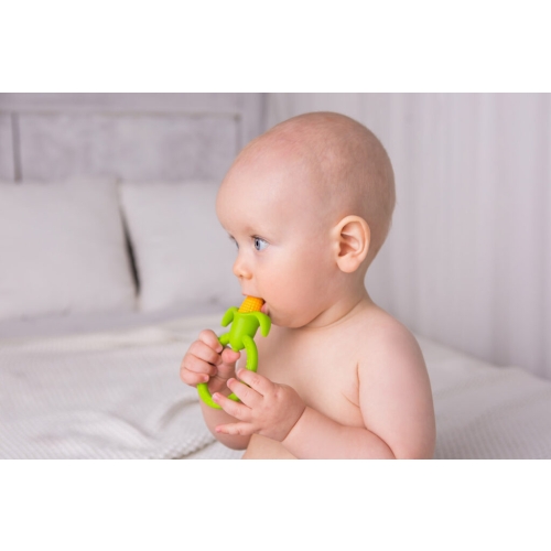 Gryzak Kolba Kukurydzy